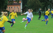 mibj239_(1).jpg