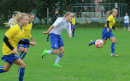 mibj239_(2).jpg