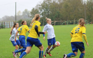 mibj239_(21).jpg