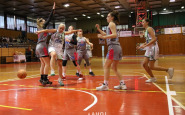 basket_bkm1_(2).jpg
