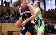 basket_bkm1_(3).jpg