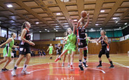 basket_bkm1_(4).jpg