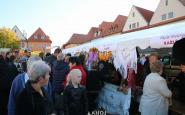 fajnyfestival_(1).jpg