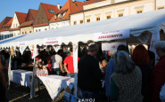 fajnyfestival_(9).jpg