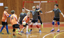 Minihádzanári si svoje nadobudnuté zručnosti zmerali na palubovke, víťazom Bardejov