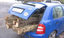 Do auta naložil drevo bez povolenia