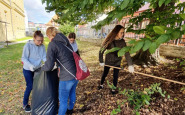 upracme si skolu (16).jpg