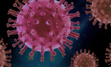 Okres Bardejov má 15 nových nakazených koronavírusom