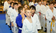 Džudisti z Judo Clubu získali až 9 cenných kovov