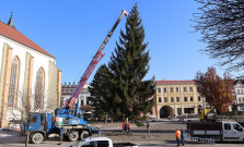 Svoju vianočnú dominantu majú už aj Prešovčania