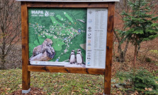 V košickej zoo pribudol nový informačný systém