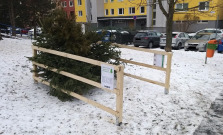 Od budúceho týždňa sa v Košiciach začne zber vianočných stromčekov