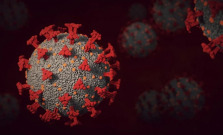 V decembri na Slovensku podľahlo koronavírusu viac ako 1 500 ľudí
