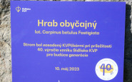 KVP (3).jpg