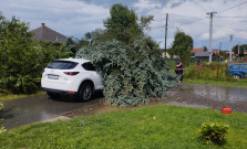 GALÉRIA | V Zborove v stredu zaplavilo niekoľko ulíc. Popadané stromy poškodili elektrické vedenie