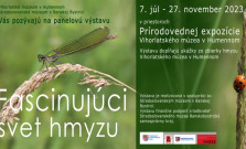Vihorlatské múzeum v Humennom prezentuje výstavu Fascinujúci svet hmyzu