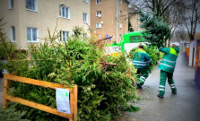 V Košiciach začnú od pondelka zbierať použité vianočné stromčeky