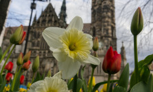Košice skrášľuje milión farebných kvetov
