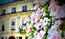 GALÉRIA | Prešov zdobí viac ako 10-tisíc letničiek a trvaliek