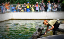 Tento týždeň trávia deti v areáli košickej zoo už druhý turnus tábora