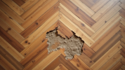 Renovácia a oprava parkiet alebo výmena – čo sa viac oplatí?