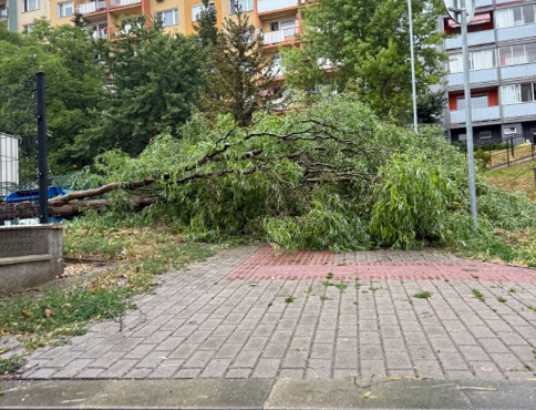 Minulotýždňová búrka v Košiciach poškodila 103 stromov