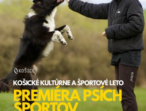 Psíčkari, pozor! Košice privítajú športových chlpáčov aj skúsených trénerov