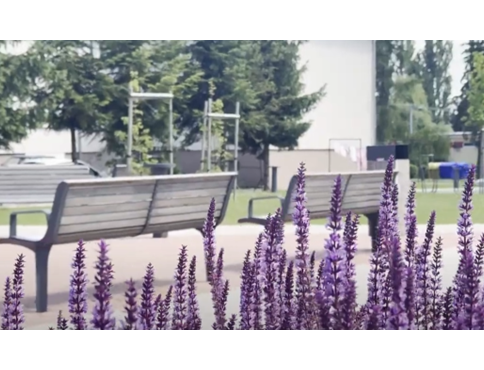 VIDEO | V Šarišských Michaľanoch zrevitalizovali priestor medzi blokmi