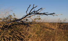 Prešovský kraj chce riešiť zhoršujúce sa suchá a pokles podzemných vôd v území