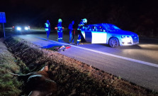 Los na ceste pri Košiciach spôsobil vážnu nehodu – zranili sa dve osoby