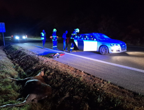 Los na ceste pri Košiciach spôsobil vážnu nehodu – zranili sa dve osoby