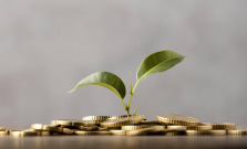 Nová dotačná výzva KSK: 800-tisíc eur na zlepšenie života v kraji