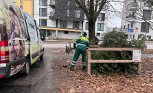 Kam s vianočným stromčekom? V Košiciach začínajú so zberom