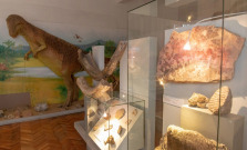 Vydajte sa na cestu prírodou Karpát vo Východoslovenskom múzeu