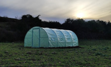 Fóliovníky: Ideálne riešenie pre pestovanie po celý rok