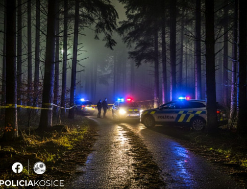 Tragédia v Košiciach: nezvestný muž neprežil útok, telo našli v lesnom poraste