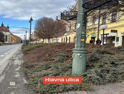 V Prešove dôjde k obnove zelene