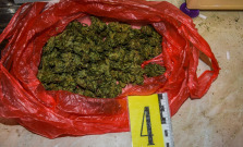 Drogová akcia na východe: Muž mal predávať konope, skončil za mrežami