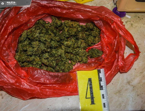 Drogová akcia na východe: Muž mal predávať konope, skončil za mrežami