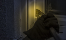 Krádež v bardejovskom pohostinstve: dvoch mužov obvinili z nočného lúpežného činu