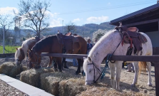 VIDEO | Z konského sedla až k pokladom Gemera: Lipovník má novú atrakciu