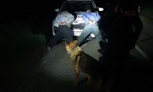 Pes Faris nemal zľutovanie: v lese našiel ukrývajúce sa osoby