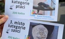 Košická ZOO bodovala v prestížnej súťaži Biely slon. Získala dve významné ocenenia