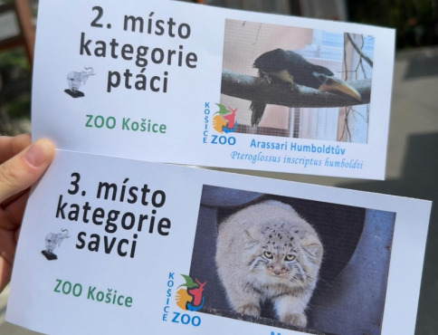 Košická ZOO bodovala v prestížnej súťaži Biely slon. Získala dve významné ocenenia