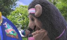 VIDEO | Kulturpark patril rodinám. Festival Kroky priniesol deň plný zábavy a zážitkov