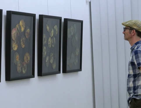 VIDEO | Abstrakcie, emócie a prírodné materiály. V Košiciach vystavuje Walther Smeitink-Mühlbacher