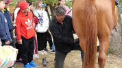 VIDEO | Skanzen v Humennom opäť ukázal, ako vyzeral život a práca našich predkov