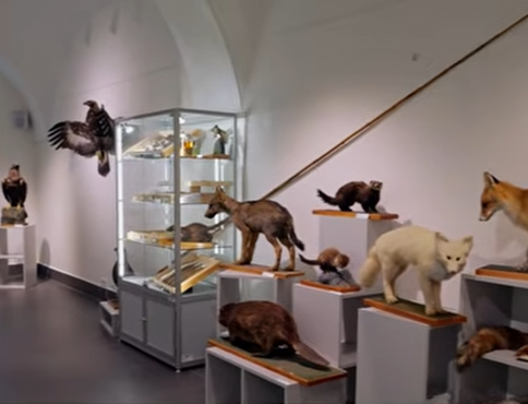 VIDEO |  Meteorit, jastrab z roku 1954, časť Sibíru. Šarišské múzeum ukazuje exponáty, ktoré neboli vystavené