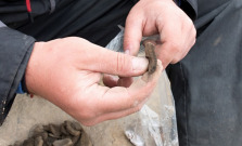 Archeologický výskum na Rhodyho ulici v Bardejove pokračuje