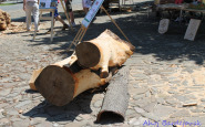 img_5487.jpg